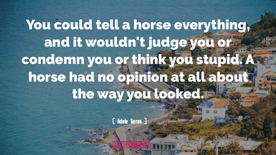 Adele Geras Quotes: You could tell a horse