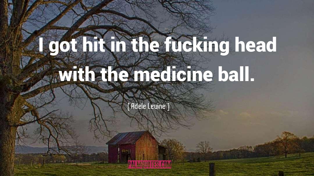 Adele Levine Quotes: I got hit in the