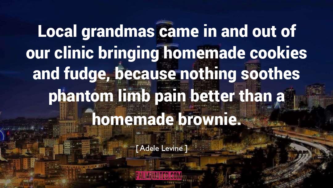 Adele Levine Quotes: Local grandmas came in and