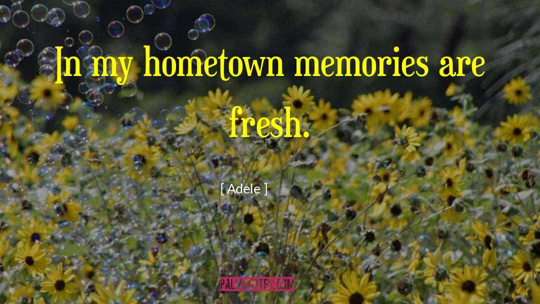 Adele Quotes: In my hometown memories are