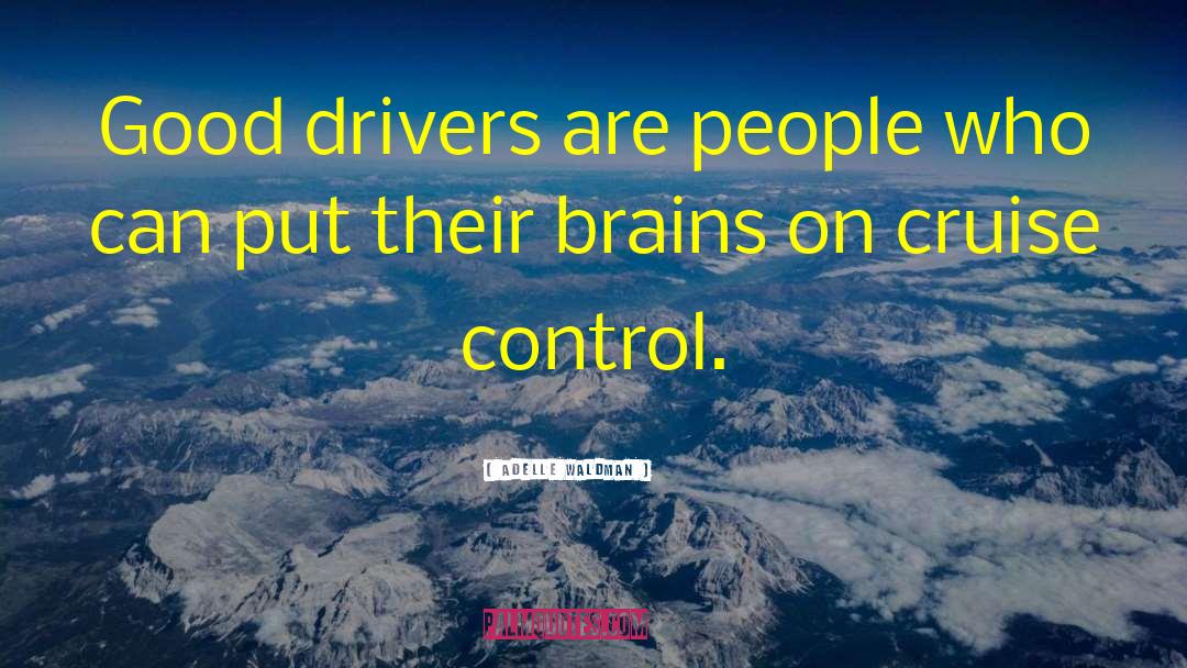 Adelle Waldman Quotes: Good drivers are people who