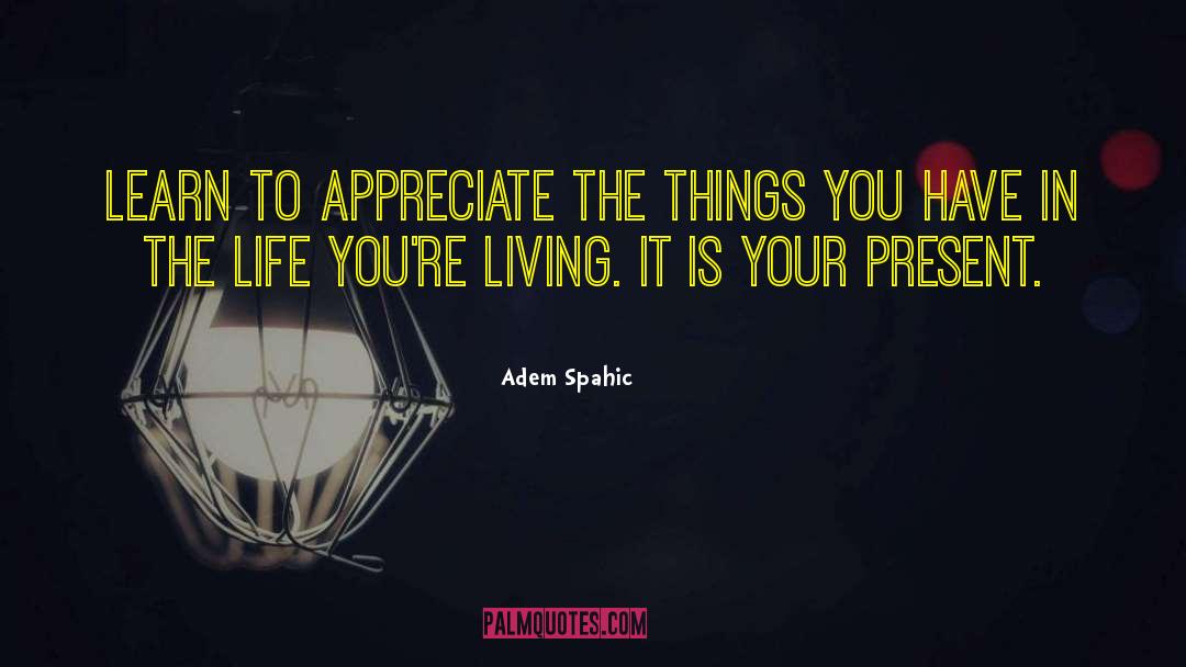 Adem Spahic Quotes: Learn to appreciate the things