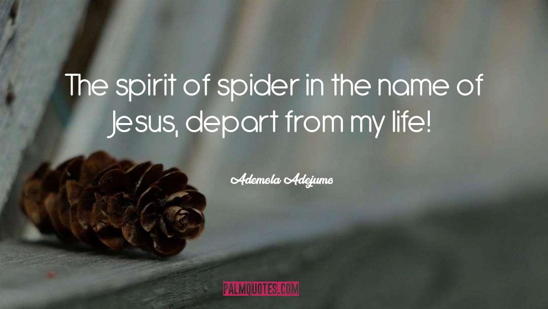 Ademola Adejumo Quotes: The spirit of spider in