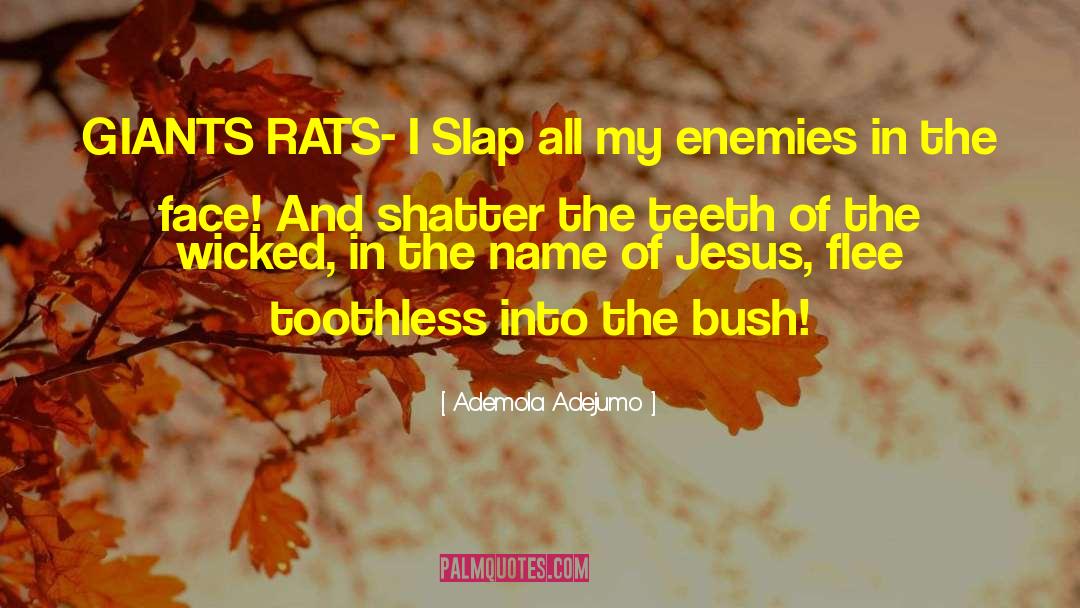 Ademola Adejumo Quotes: GIANTS RATS- I Slap all