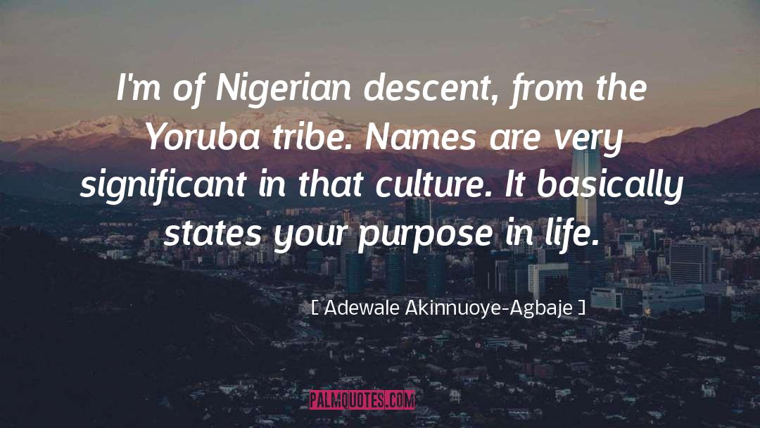 Adewale Akinnuoye-Agbaje Quotes: I'm of Nigerian descent, from