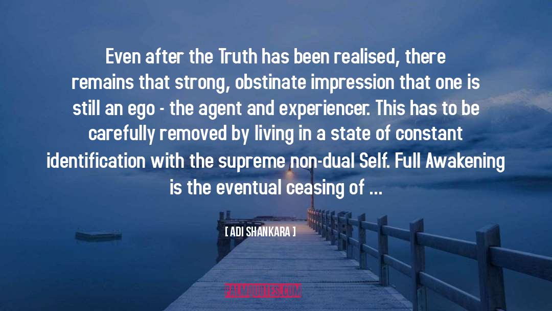 Adi Shankara Quotes: Even after the Truth has