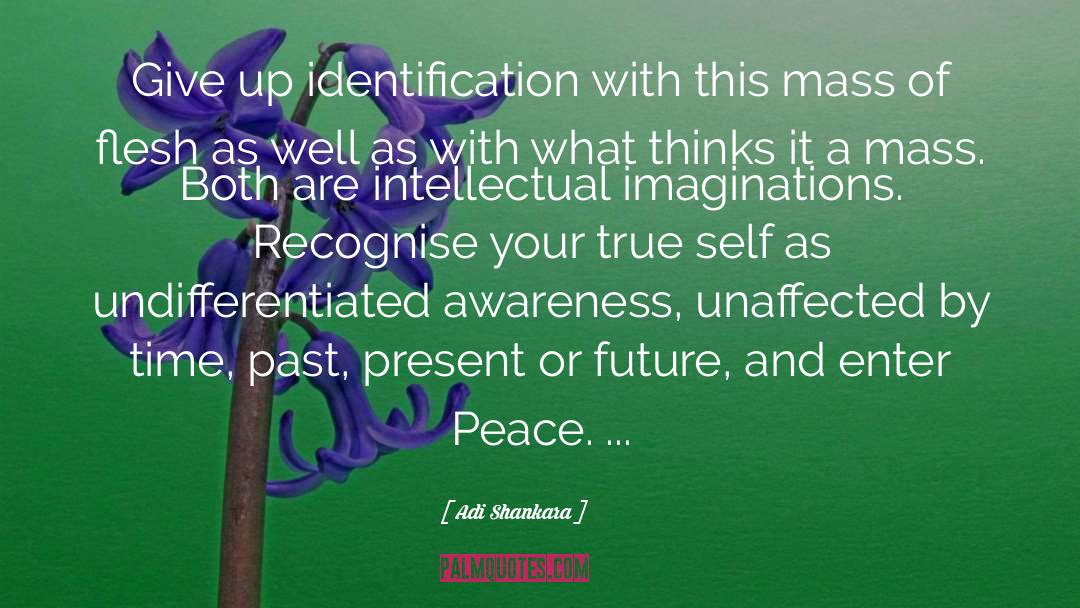 Adi Shankara Quotes: Give up identification with this