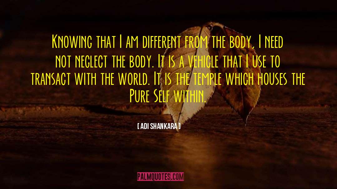 Adi Shankara Quotes: Knowing that I am different