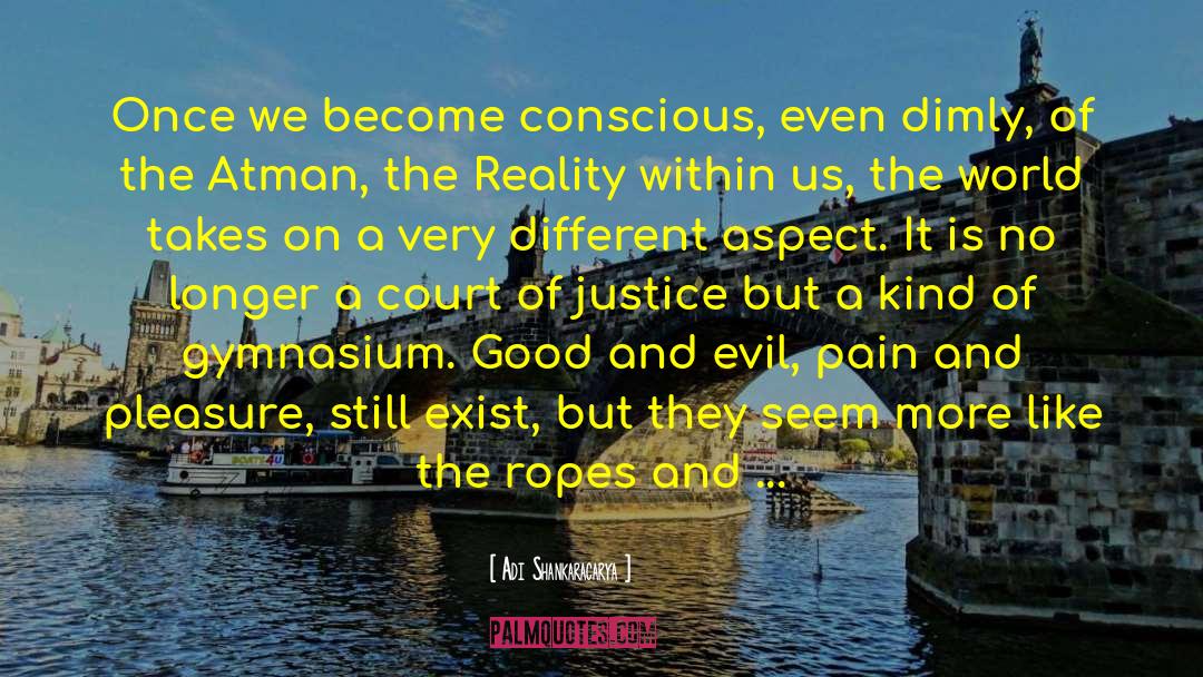 Adi Shankaracarya Quotes: Once we become conscious, even