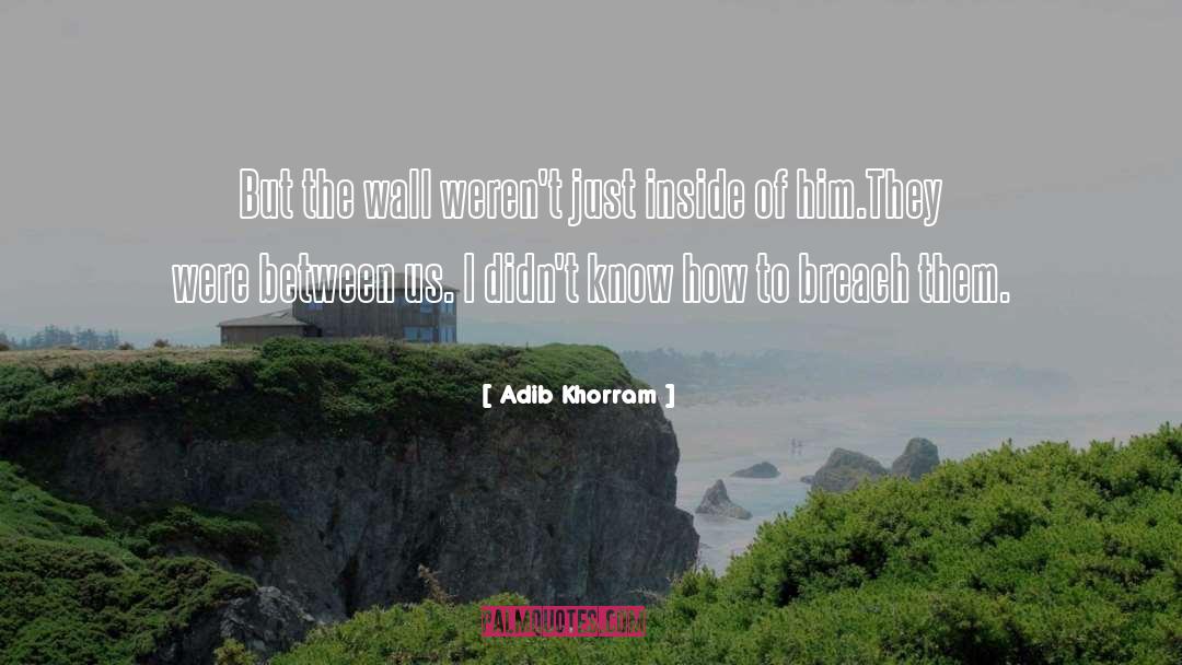 Adib Khorram Quotes: But the wall weren't just