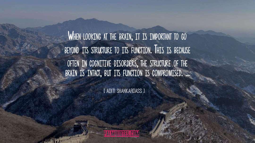 Aditi Shankardass Quotes: When looking at the brain,