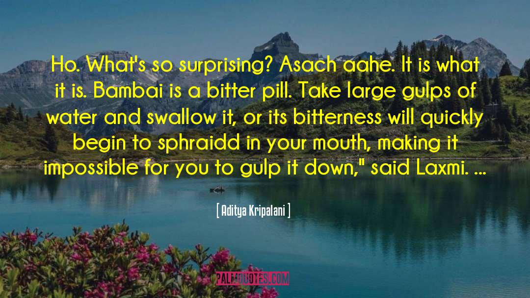 Aditya Kripalani Quotes: Ho. What's so surprising? Asach