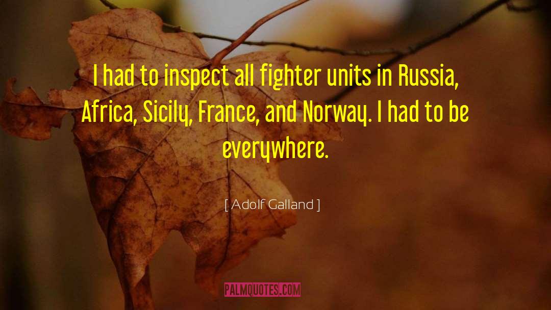 Adolf Galland Quotes: I had to inspect all