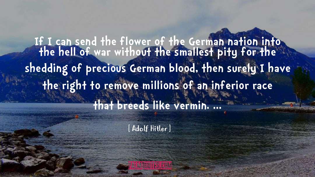 Adolf Hitler Quotes: If I can send the