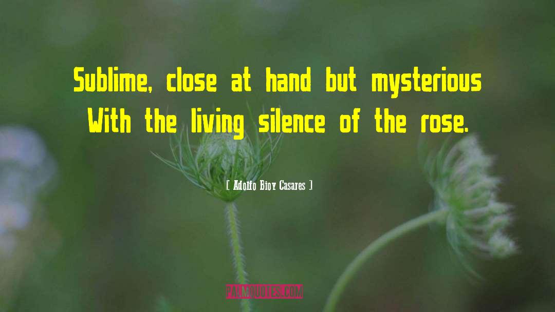 Adolfo Bioy Casares Quotes: Sublime, close at hand but