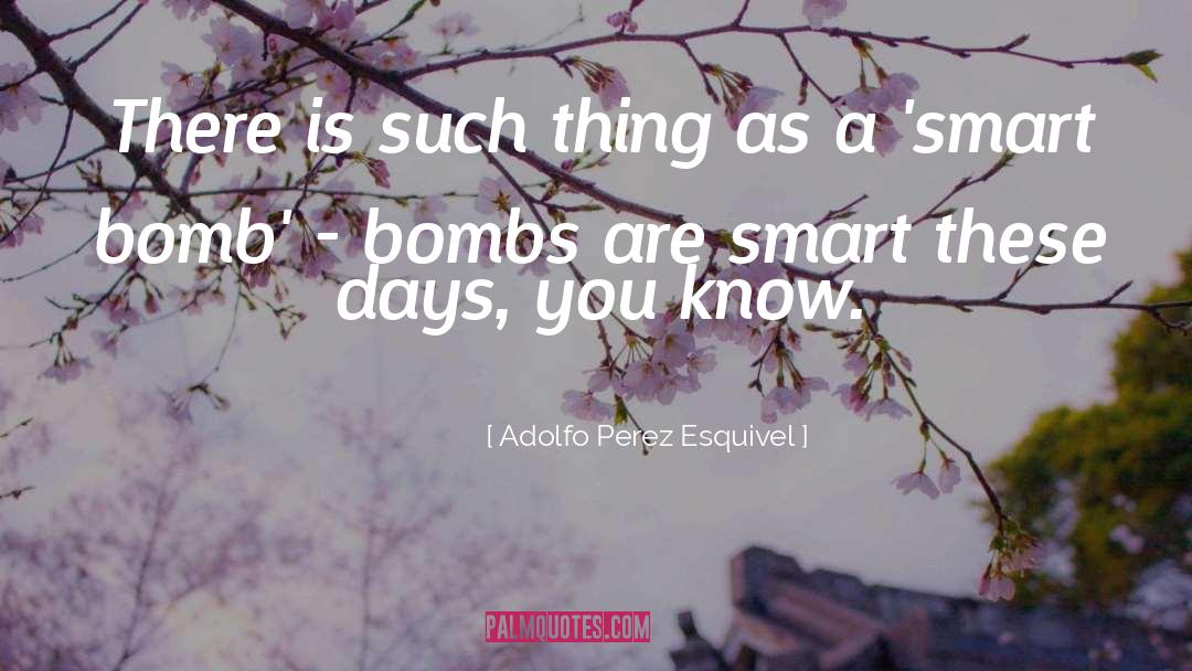 Adolfo Perez Esquivel Quotes: There is such thing as