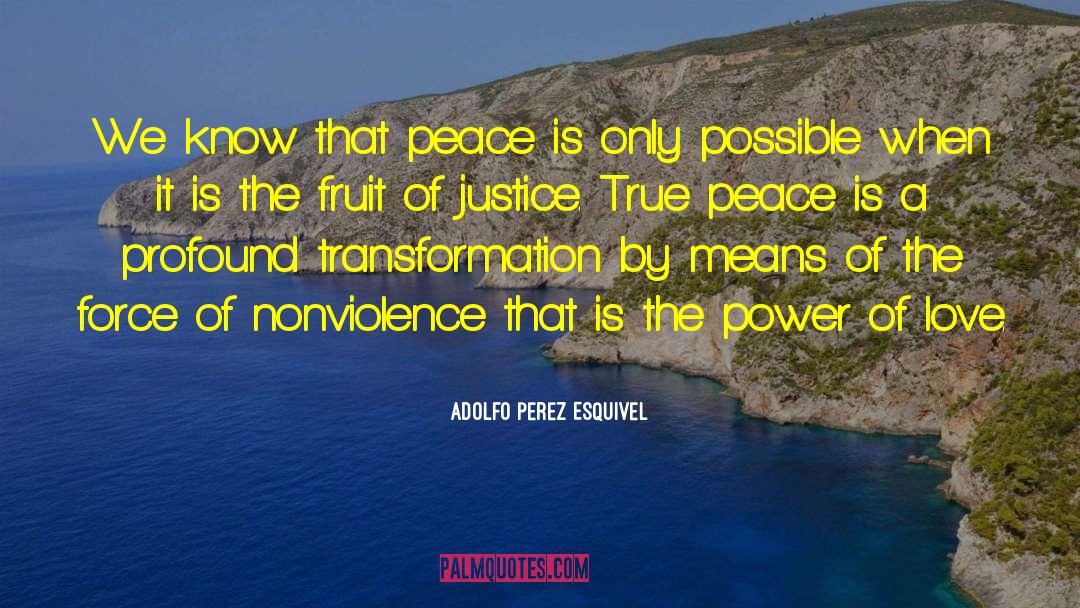 Adolfo Perez Esquivel Quotes: We know that peace is