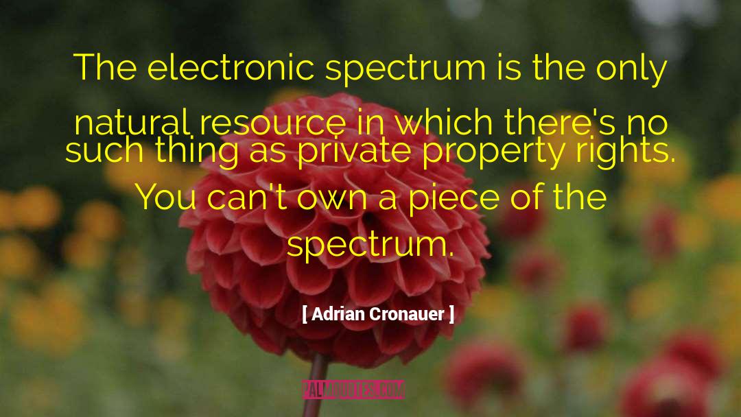 Adrian Cronauer Quotes: The electronic spectrum is the
