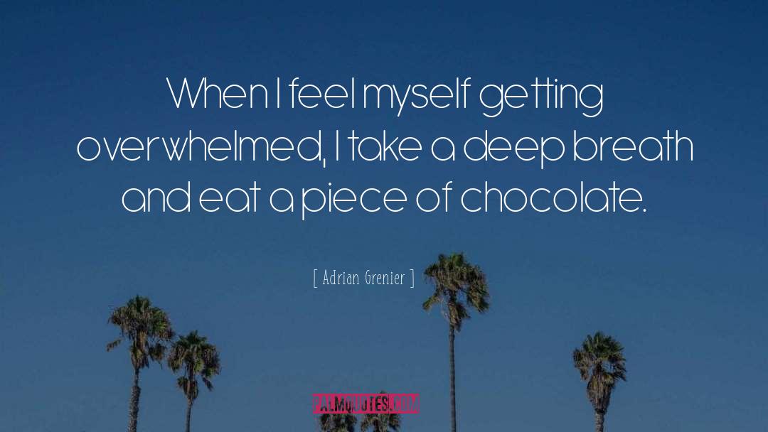 Adrian Grenier Quotes: When I feel myself getting