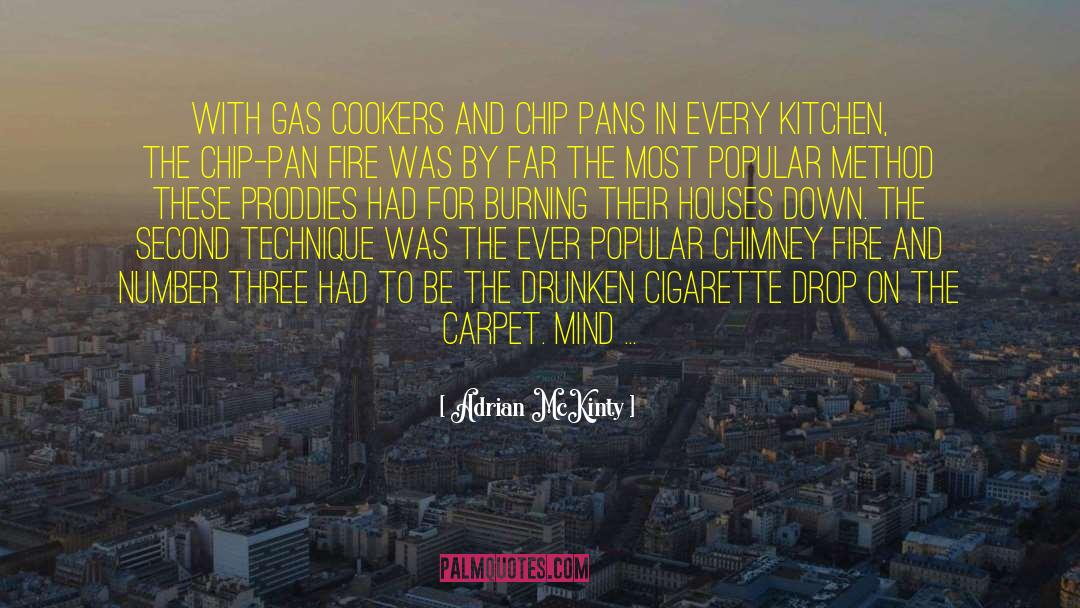 Adrian McKinty Quotes: With gas cookers and chip