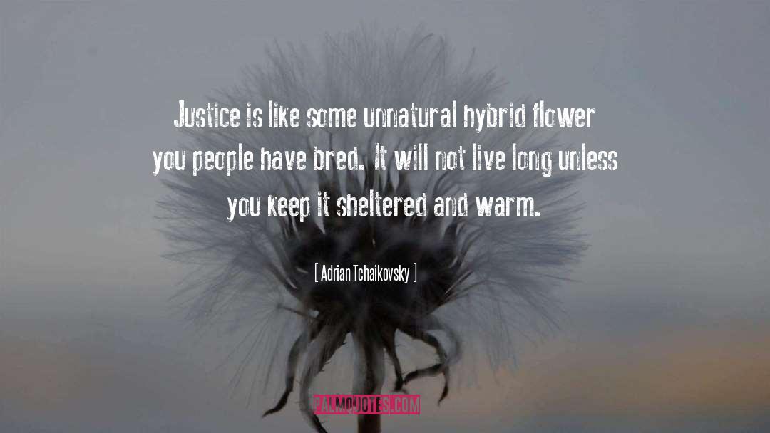 Adrian Tchaikovsky Quotes: Justice is like some unnatural