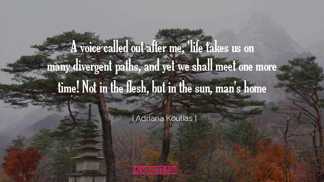 Adriana Koulias Quotes: A voice called out after