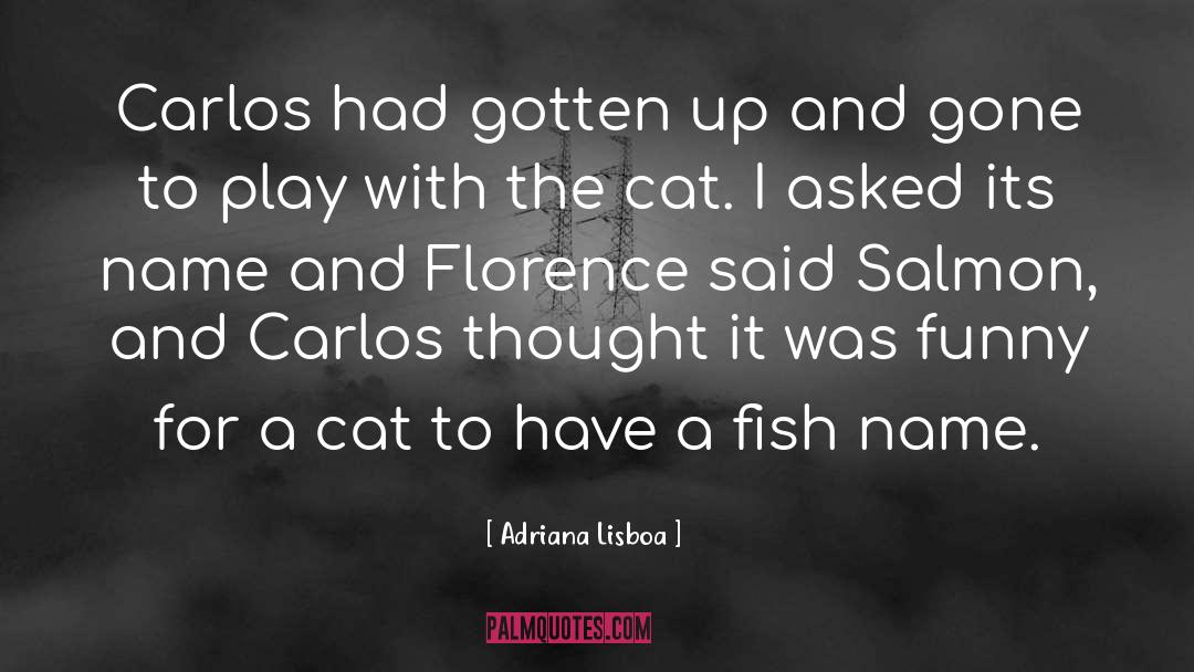 Adriana Lisboa Quotes: Carlos had gotten up and