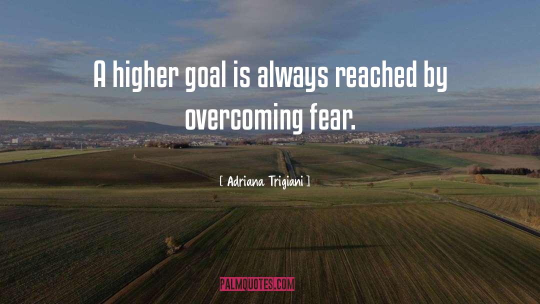 Adriana Trigiani Quotes: A higher goal is always