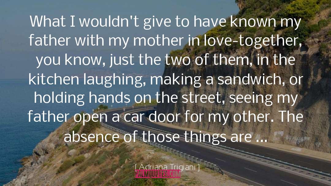 Adriana Trigiani Quotes: What I wouldn't give to