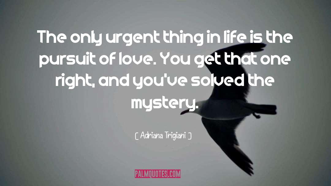 Adriana Trigiani Quotes: The only urgent thing in