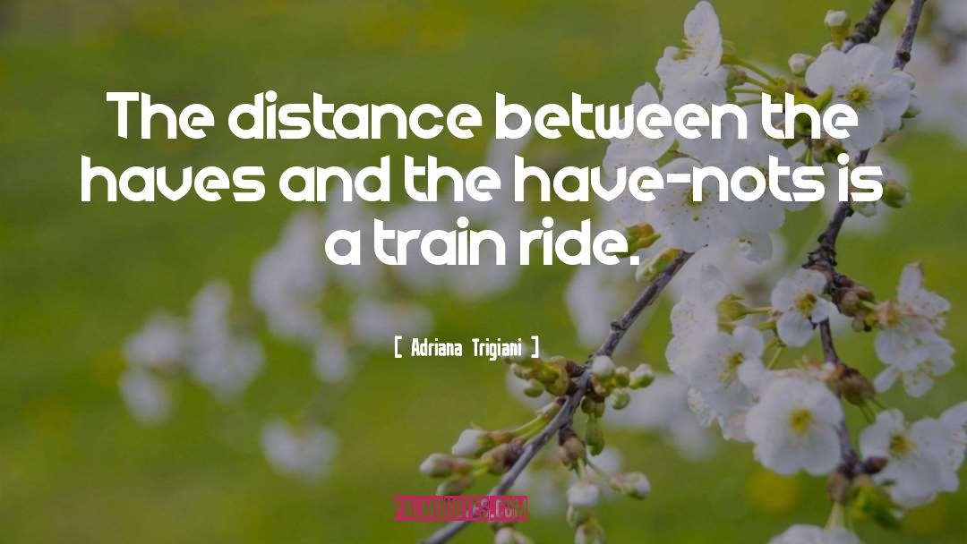 Adriana Trigiani Quotes: The distance between the haves