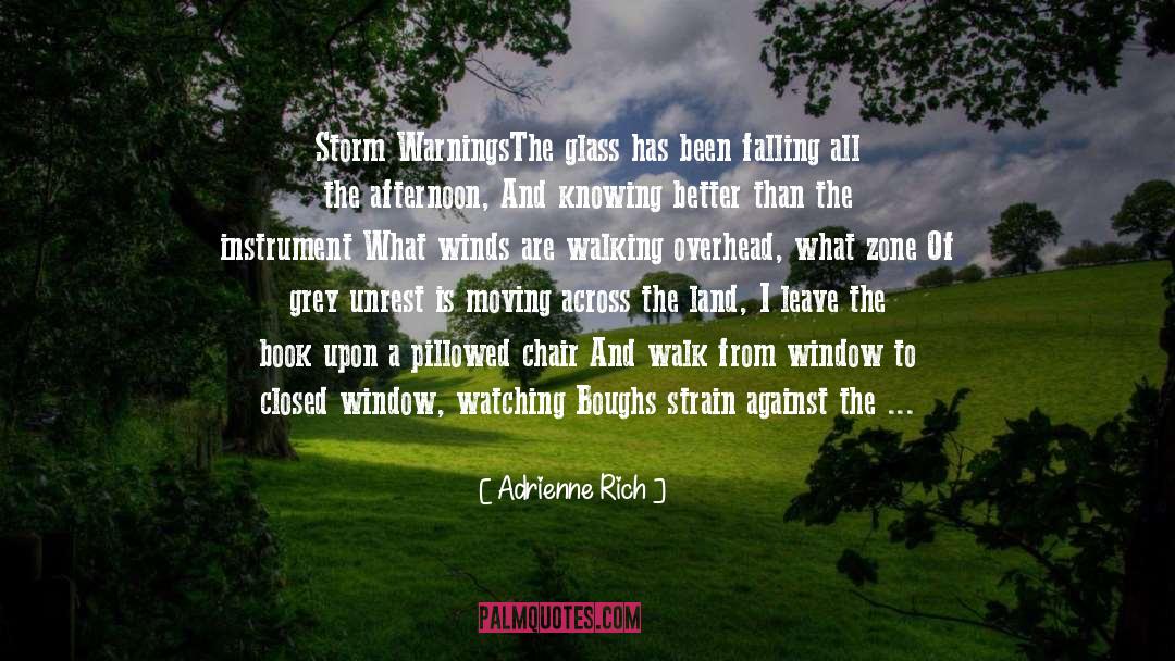 Adrienne Rich Quotes: Storm Warnings<br /><br />The glass