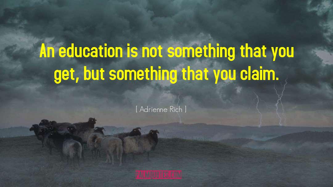 Adrienne Rich Quotes: An education is not something