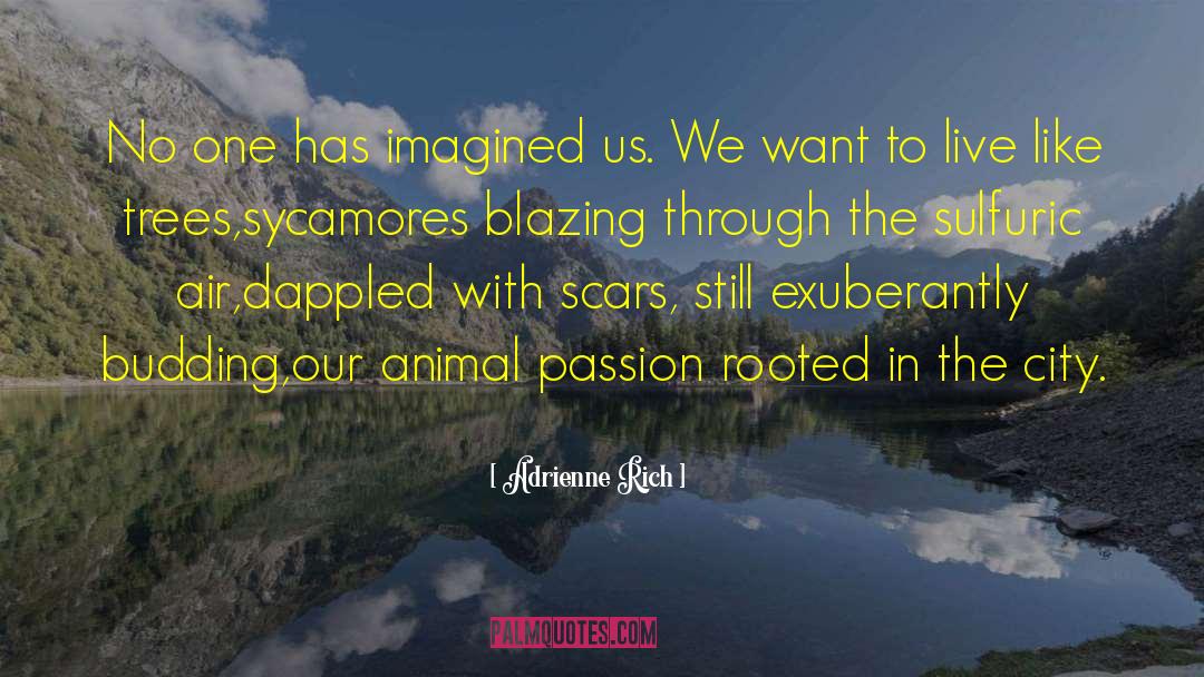 Adrienne Rich Quotes: No one has imagined us.