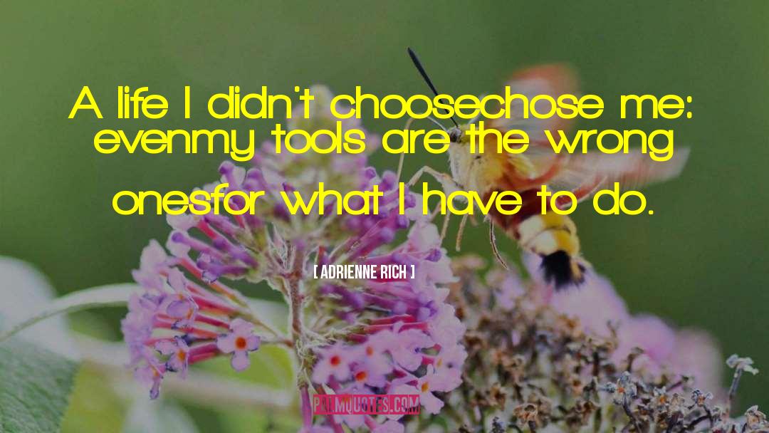 Adrienne Rich Quotes: A life I didn't choose<br>chose