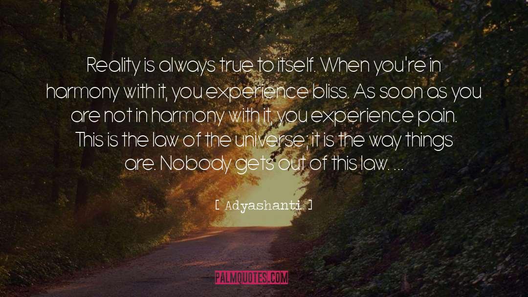 Adyashanti Quotes: Reality is always true to