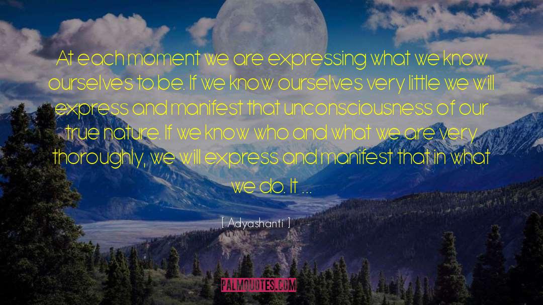 Adyashanti Quotes: At each moment we are