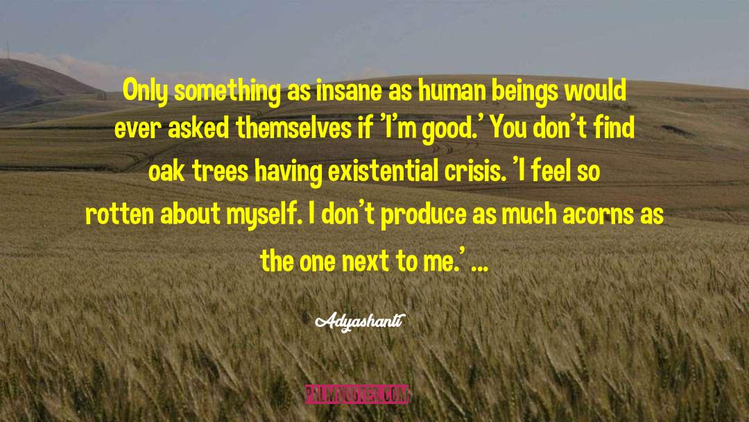 Adyashanti Quotes: Only something as insane as