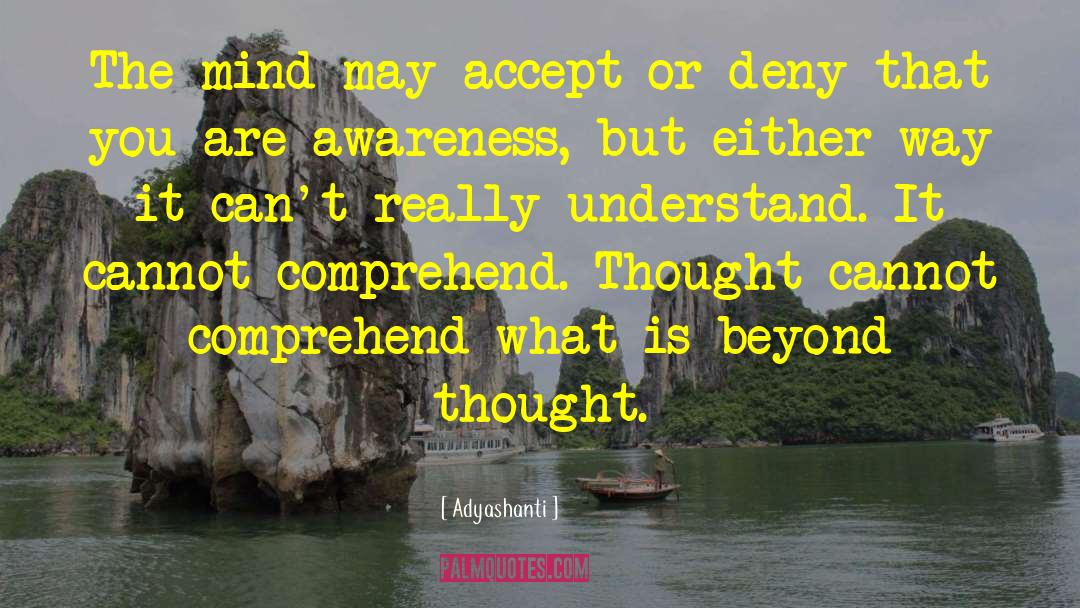 Adyashanti Quotes: The mind may accept or