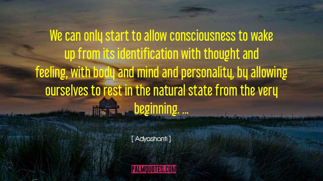 Adyashanti Quotes: We can only start to