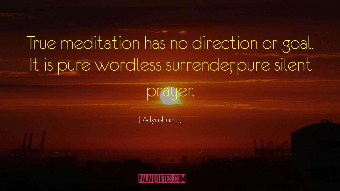 Adyashanti Quotes: True meditation has no direction