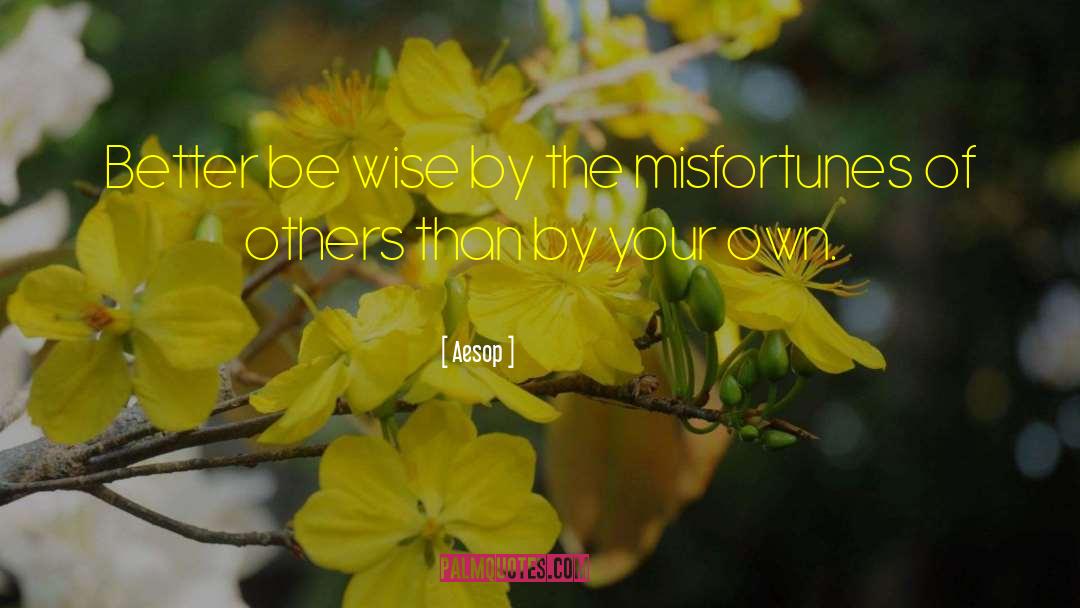 Aesop Quotes: Better be wise by the