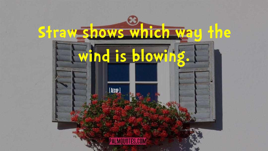 Aesop Quotes: Straw shows which way the