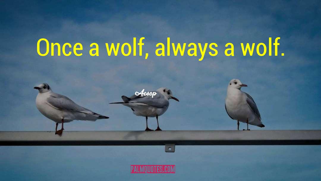 Aesop Quotes: Once a wolf, always a