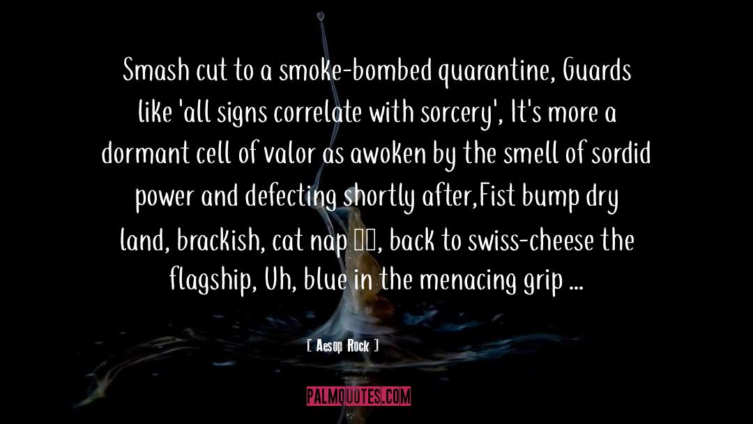 Aesop Rock Quotes: Smash cut to a smoke-bombed