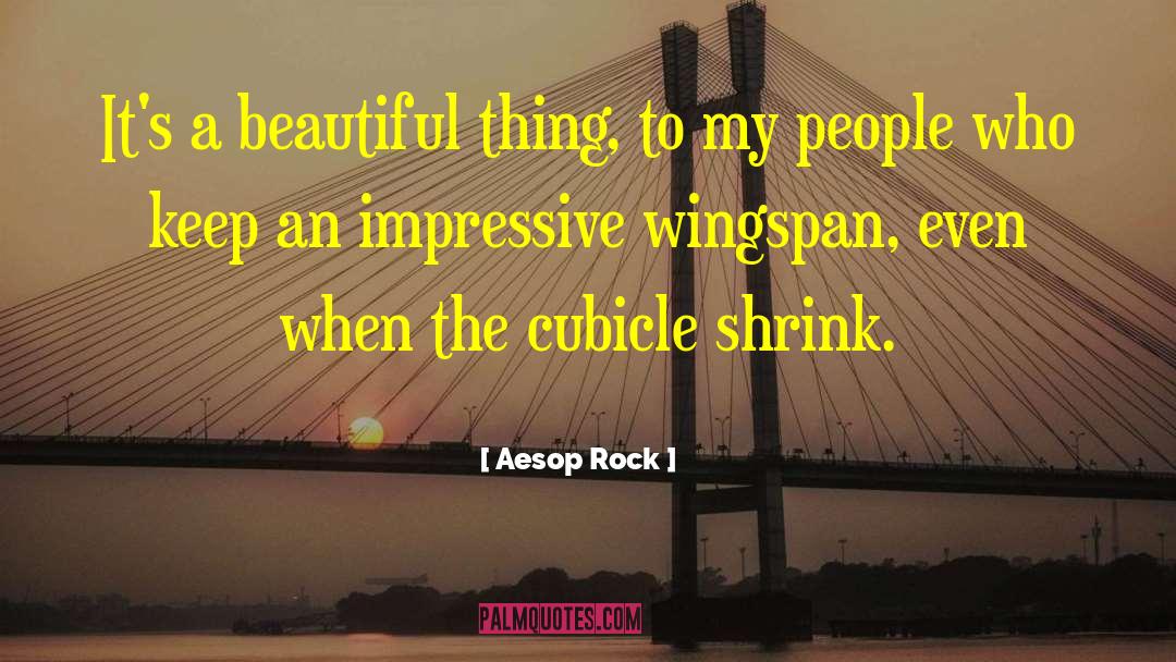 Aesop Rock Quotes: It's a beautiful thing, to
