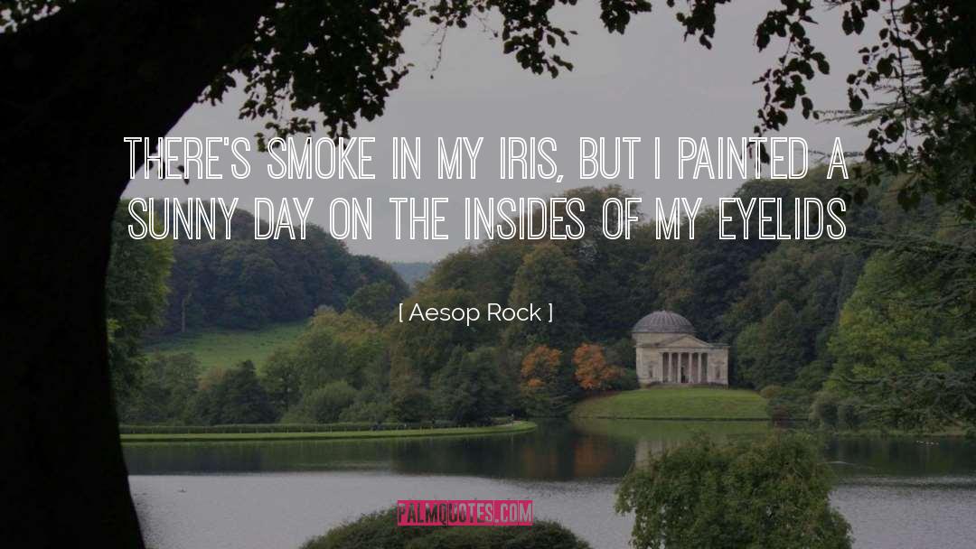 Aesop Rock Quotes: There's smoke in my iris,