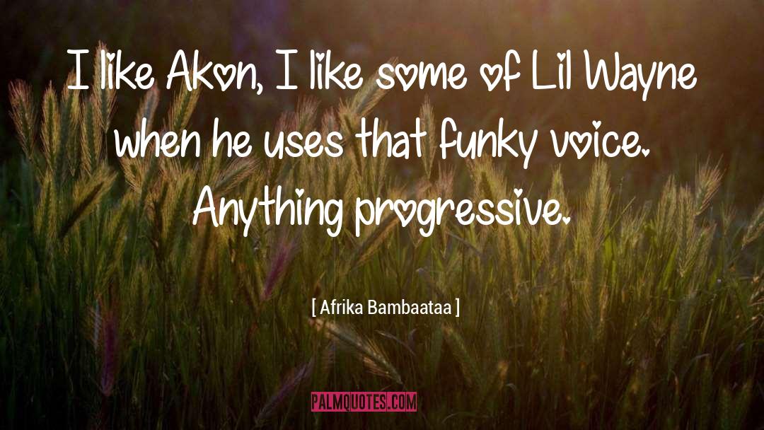 Afrika Bambaataa Quotes: I like Akon, I like