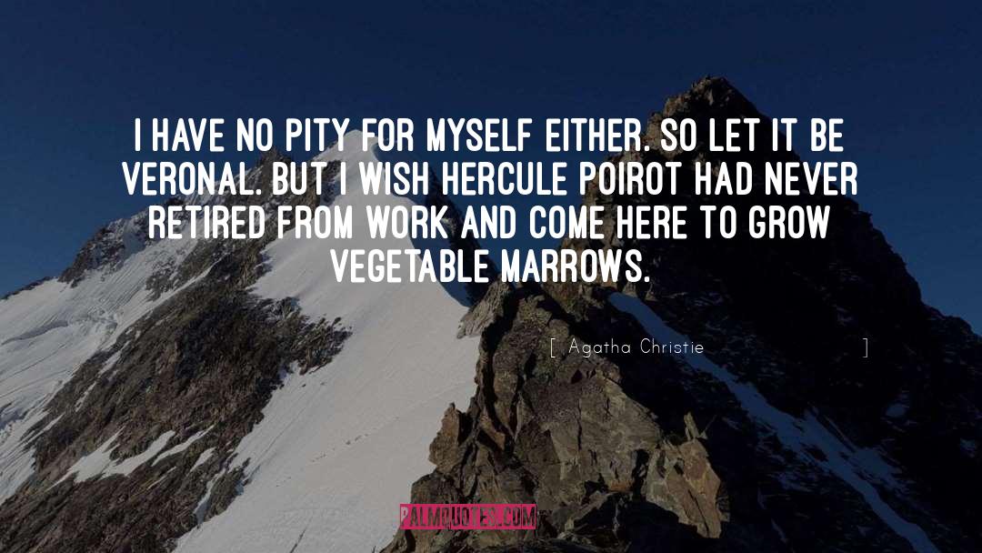 Agatha Christie Quotes: I have no pity for