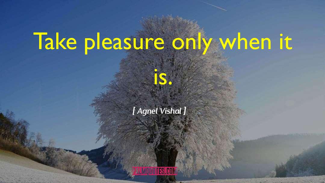 Agnel Vishal Quotes: Take pleasure only when it